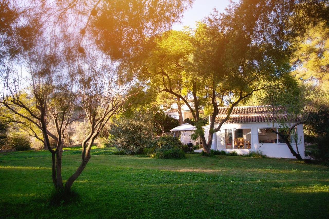 Finca Palmers Dos 米哈斯 外观 照片